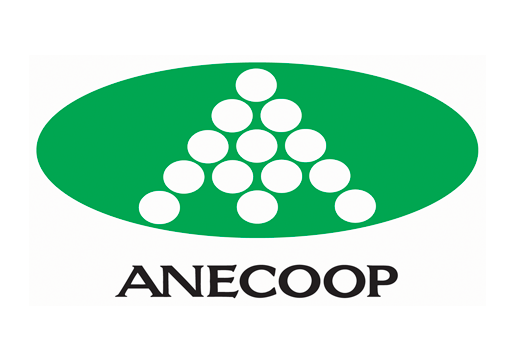 Anecoop-web